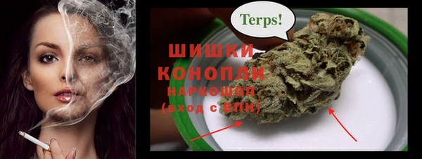 прущие грибы Мегион
