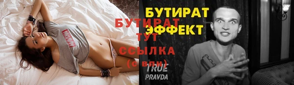 прущие грибы Мегион