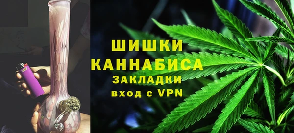 прущие грибы Мегион