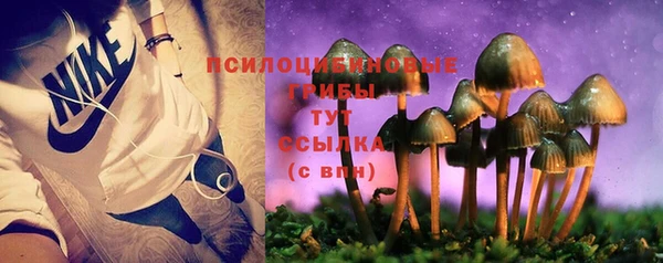 прущие грибы Мегион