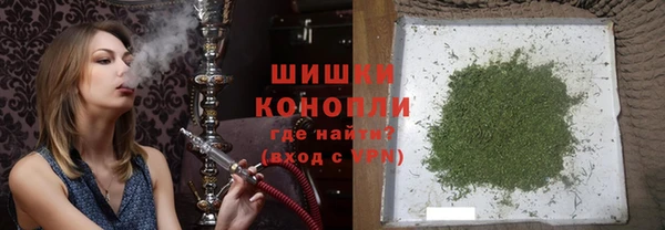 прущие грибы Мегион