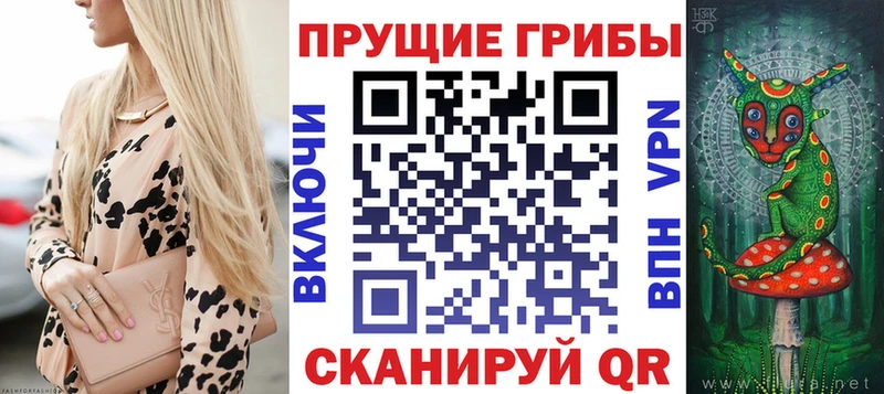как найти наркотики  Орск  Галлюциногенные грибы Magic Shrooms 