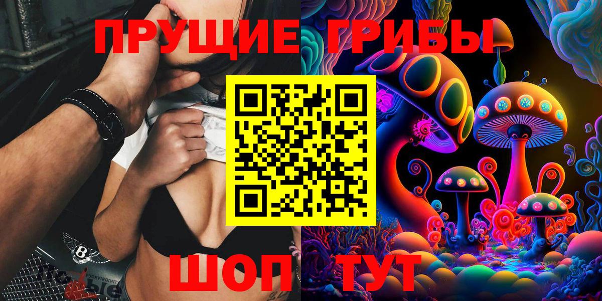 Орск  Псилоцибиновые грибы Cubensis  Вход с VPN 
